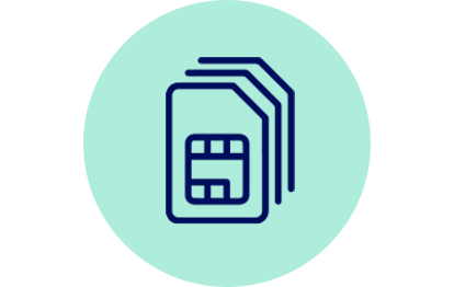 M2M One Developer SIM